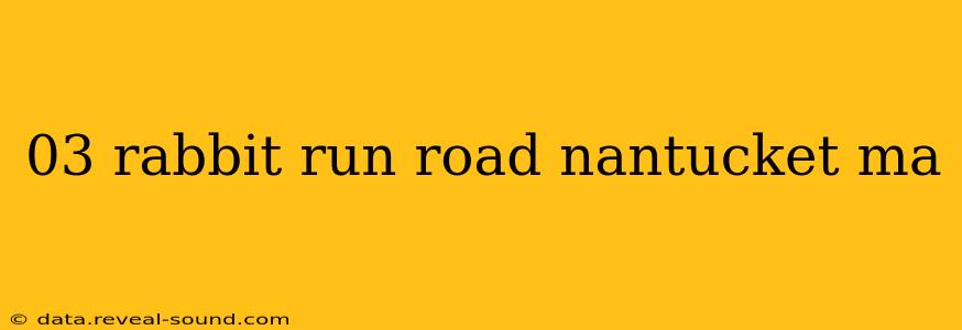03 rabbit run road nantucket ma