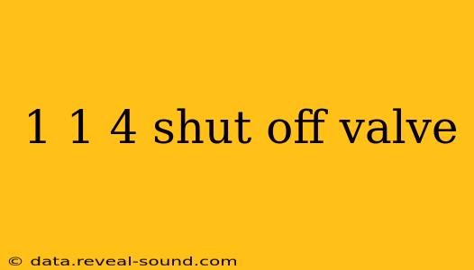 1 1 4 shut off valve