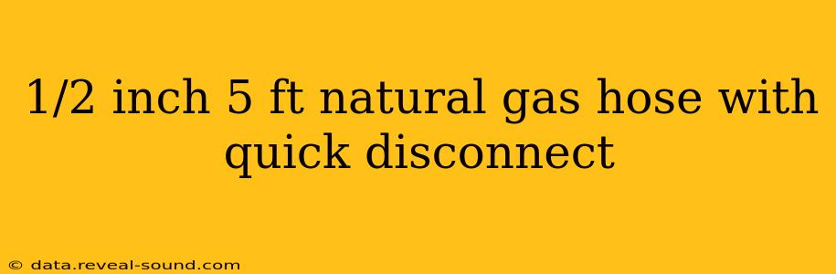1/2 inch 5 ft natural gas hose with quick disconnect