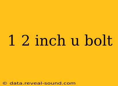 1 2 inch u bolt