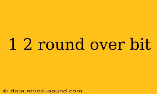 1 2 round over bit