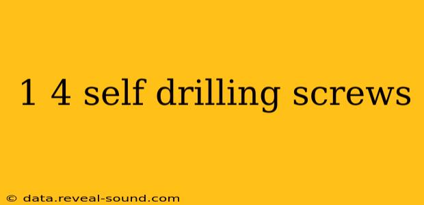 1 4 self drilling screws