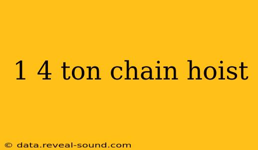 1 4 ton chain hoist