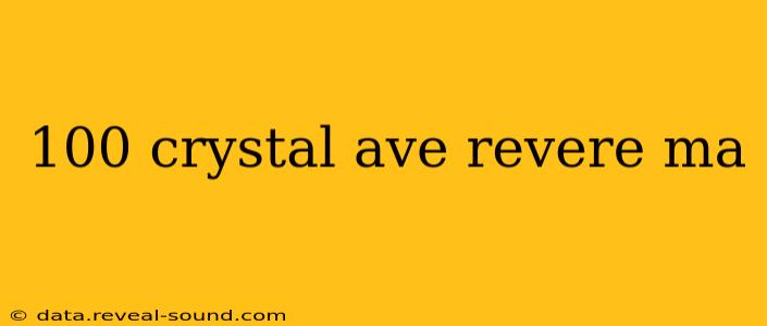 100 crystal ave revere ma