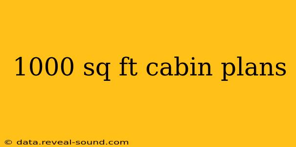1000 sq ft cabin plans