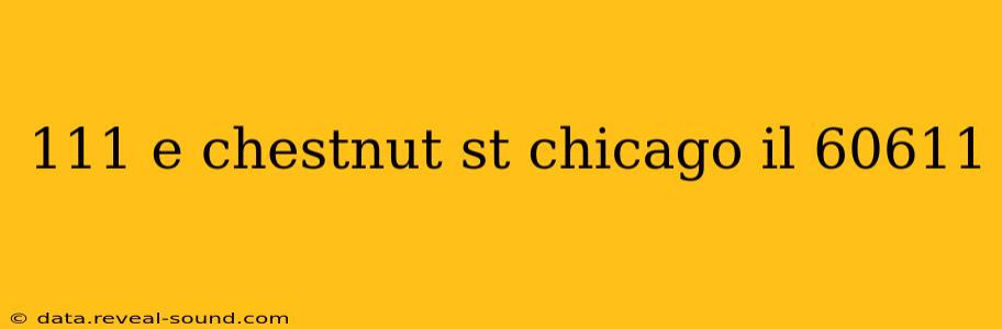 111 e chestnut st chicago il 60611