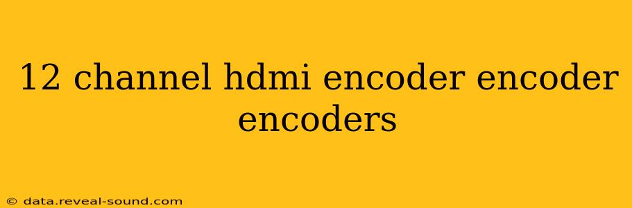 12 channel hdmi encoder encoder encoders