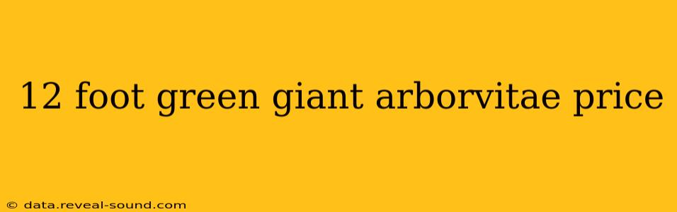 12 foot green giant arborvitae price