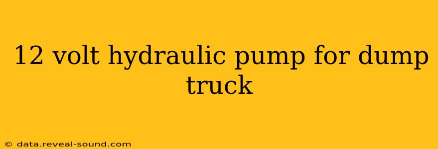12 volt hydraulic pump for dump truck