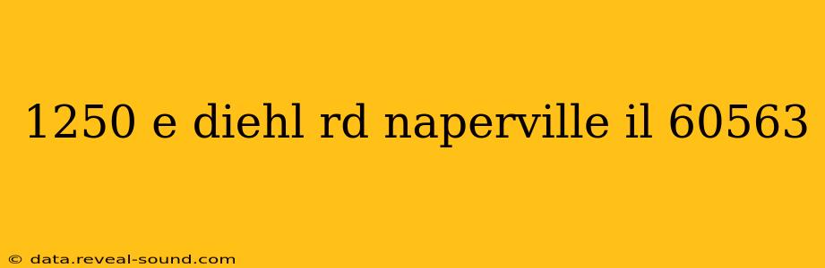 1250 e diehl rd naperville il 60563
