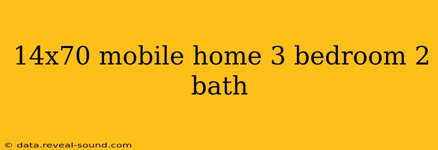 14x70 mobile home 3 bedroom 2 bath