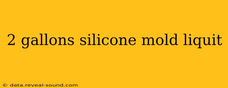2 gallons silicone mold liquit