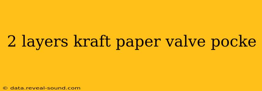 2 layers kraft paper valve pocke