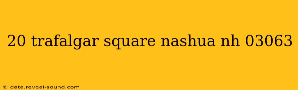 20 trafalgar square nashua nh 03063