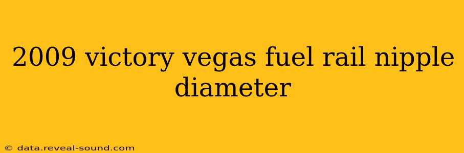 2009 victory vegas fuel rail nipple diameter
