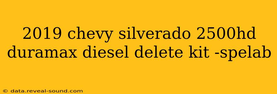 2019 chevy silverado 2500hd duramax diesel delete kit -spelab