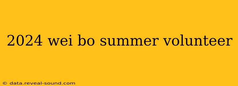 2024 wei bo summer volunteer
