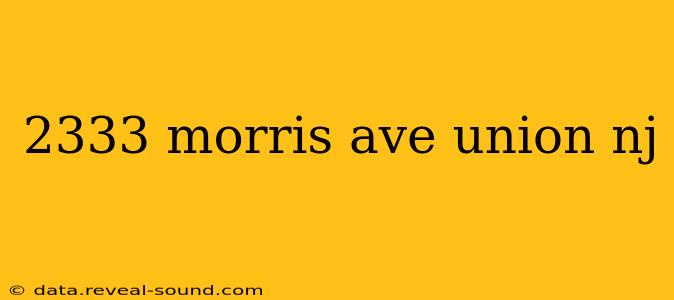 2333 morris ave union nj