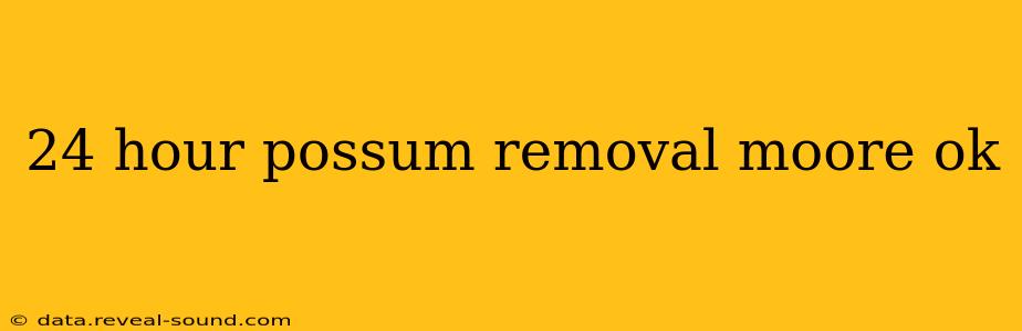 24 hour possum removal moore ok
