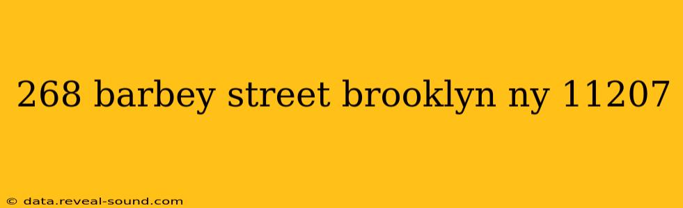 268 barbey street brooklyn ny 11207