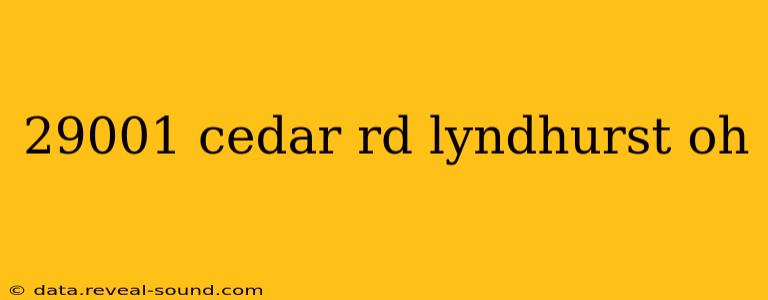 29001 cedar rd lyndhurst oh
