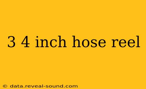 3 4 inch hose reel