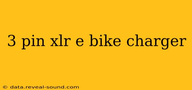 3 pin xlr e bike charger
