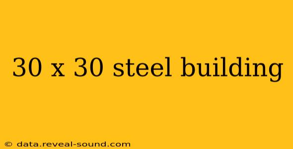 30 x 30 steel building