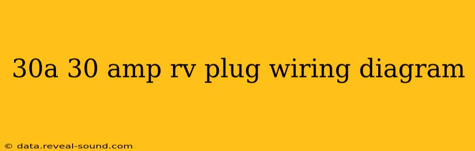 30a 30 amp rv plug wiring diagram