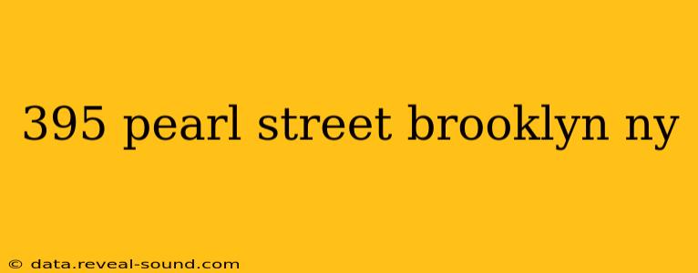 395 pearl street brooklyn ny