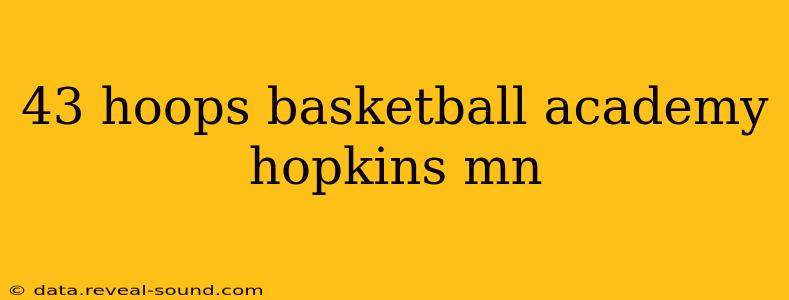 43 hoops basketball academy hopkins mn