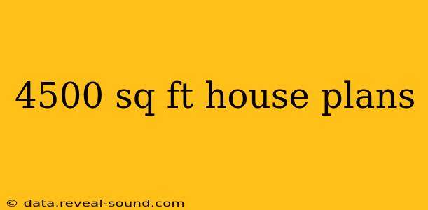 4500 sq ft house plans