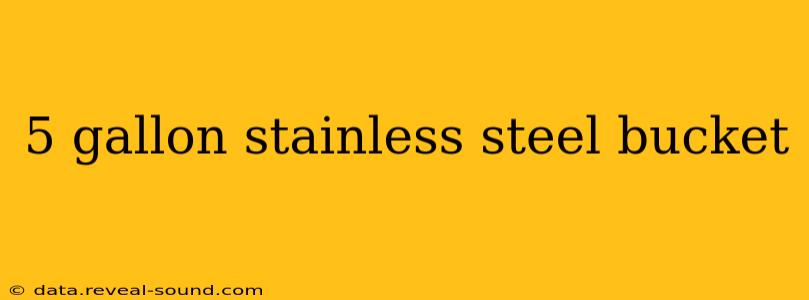 5 gallon stainless steel bucket
