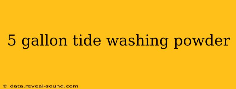 5 gallon tide washing powder
