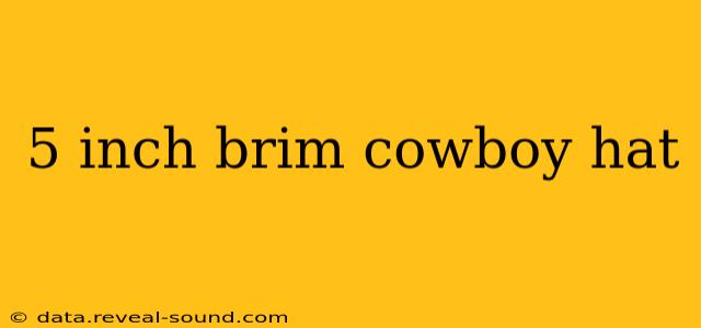 5 inch brim cowboy hat