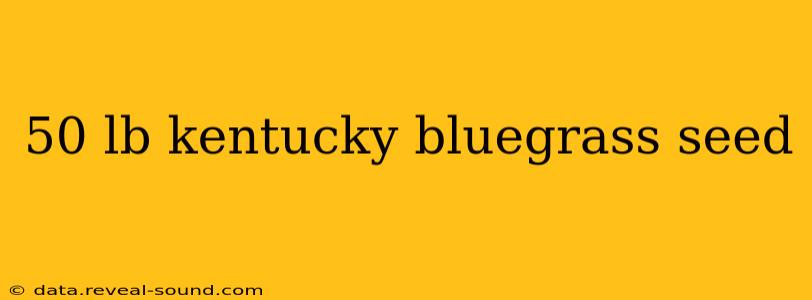 50 lb kentucky bluegrass seed