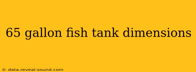 65 gallon fish tank dimensions
