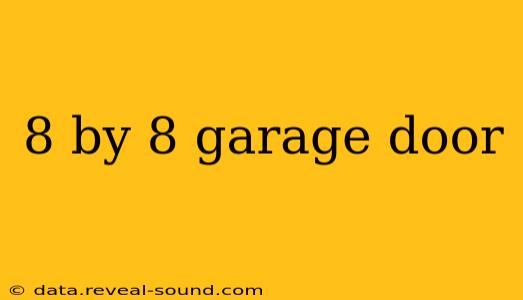 8 by 8 garage door
