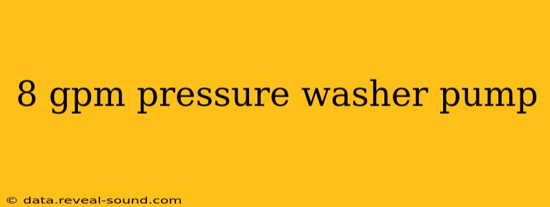 8 gpm pressure washer pump