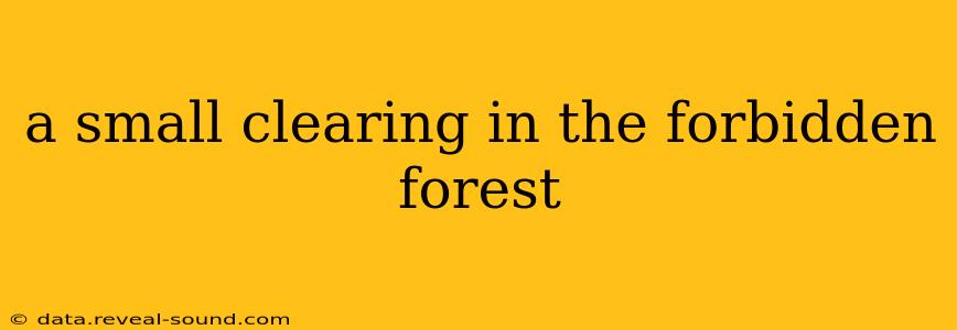 a small clearing in the forbidden forest