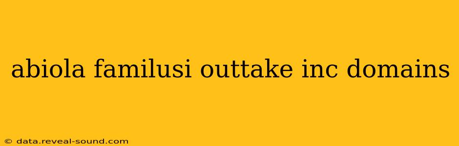 abiola familusi outtake inc domains
