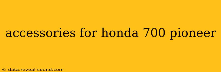accessories for honda 700 pioneer