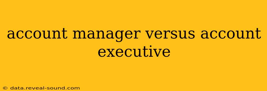 account manager versus account executive