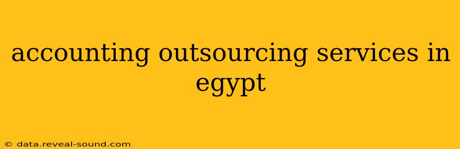 accounting outsourcing services in egypt