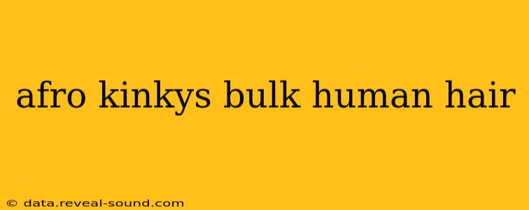 afro kinkys bulk human hair