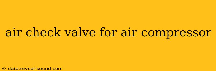 air check valve for air compressor