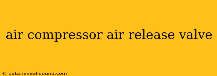 air compressor air release valve