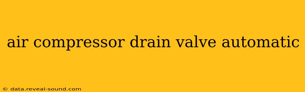 air compressor drain valve automatic
