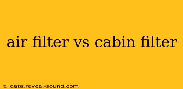 air filter vs cabin filter