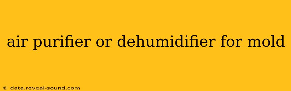 air purifier or dehumidifier for mold